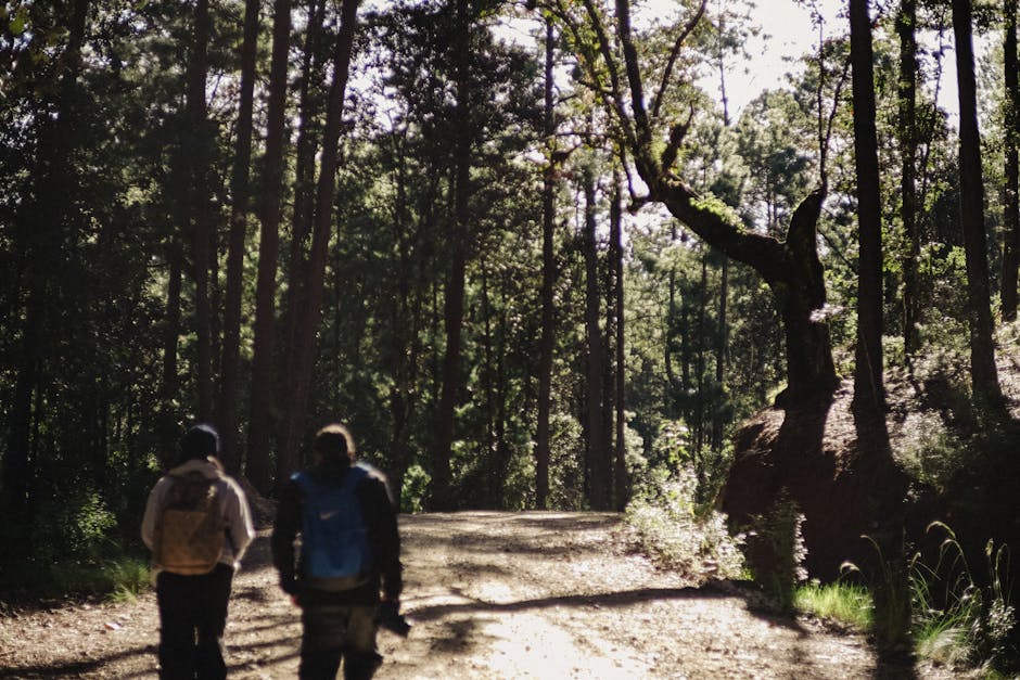 Two hikers explore a scenic forest trail in San Cristóbal de las Casas, Chiapas, Mexico