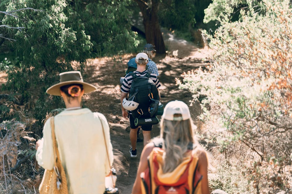 A group of adults hiking on a sunny day through a forested path showcasing adventure and exploration.