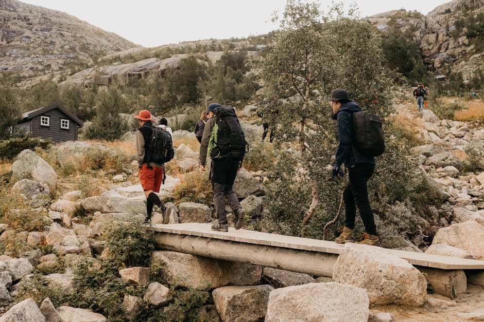Group of adults hiking over a wooden bridge in a mountainous landscape during summer.